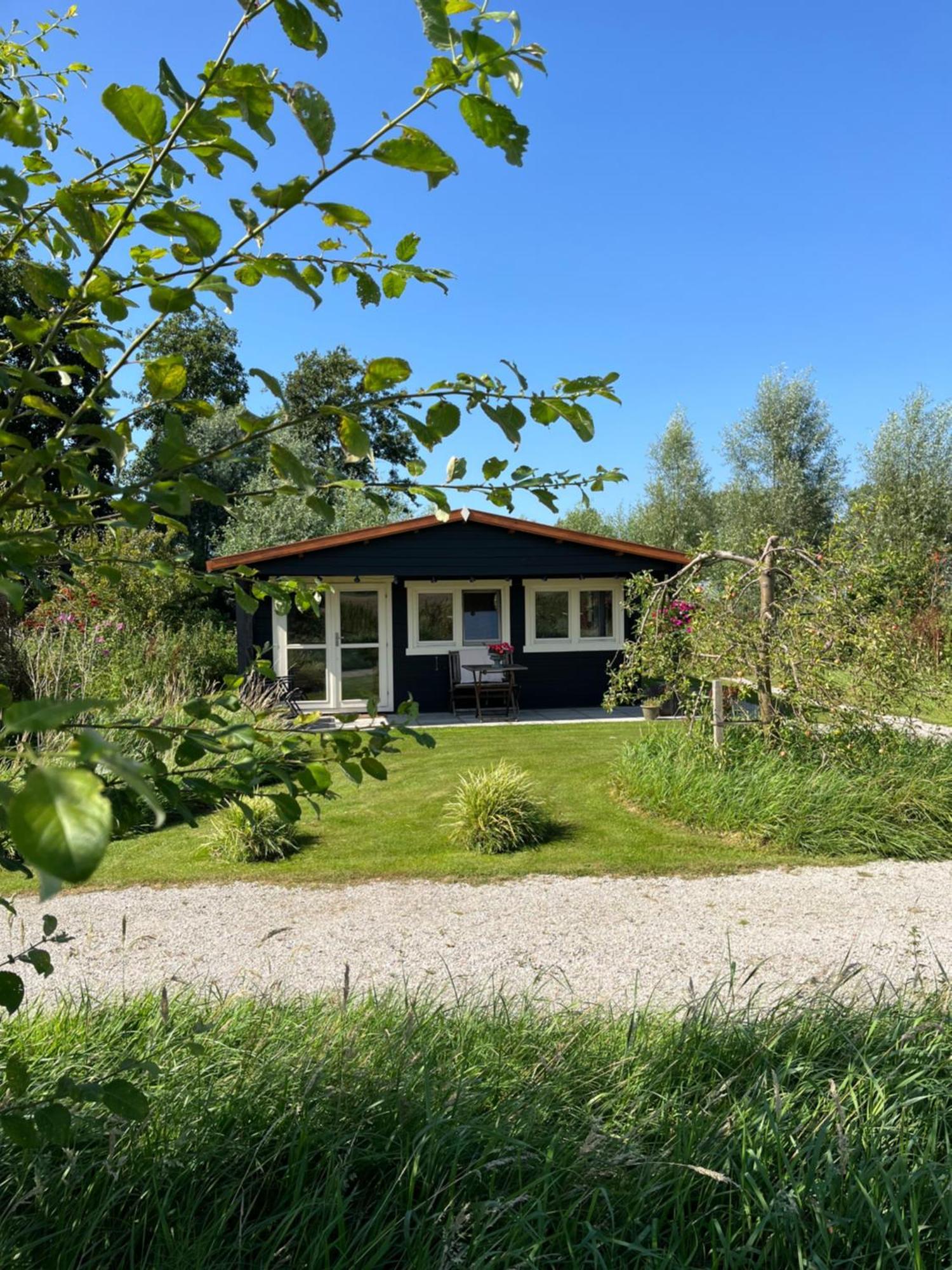 Fields 1216 Bed & Breakfast Zwaanshoek Eksteriør bilde